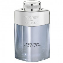 بنتلی فور من سیلور لیک